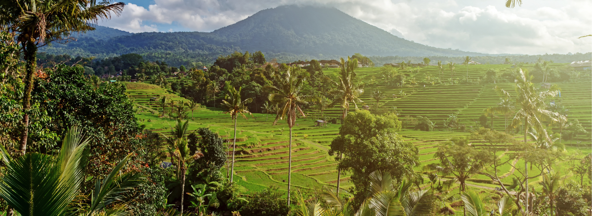 banner-innerbg